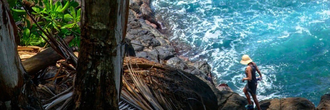 Patricia Noelle banner