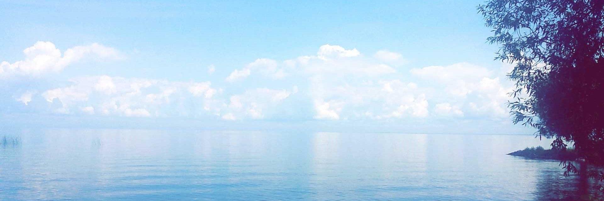 dangCrystalDeng's profile banner image