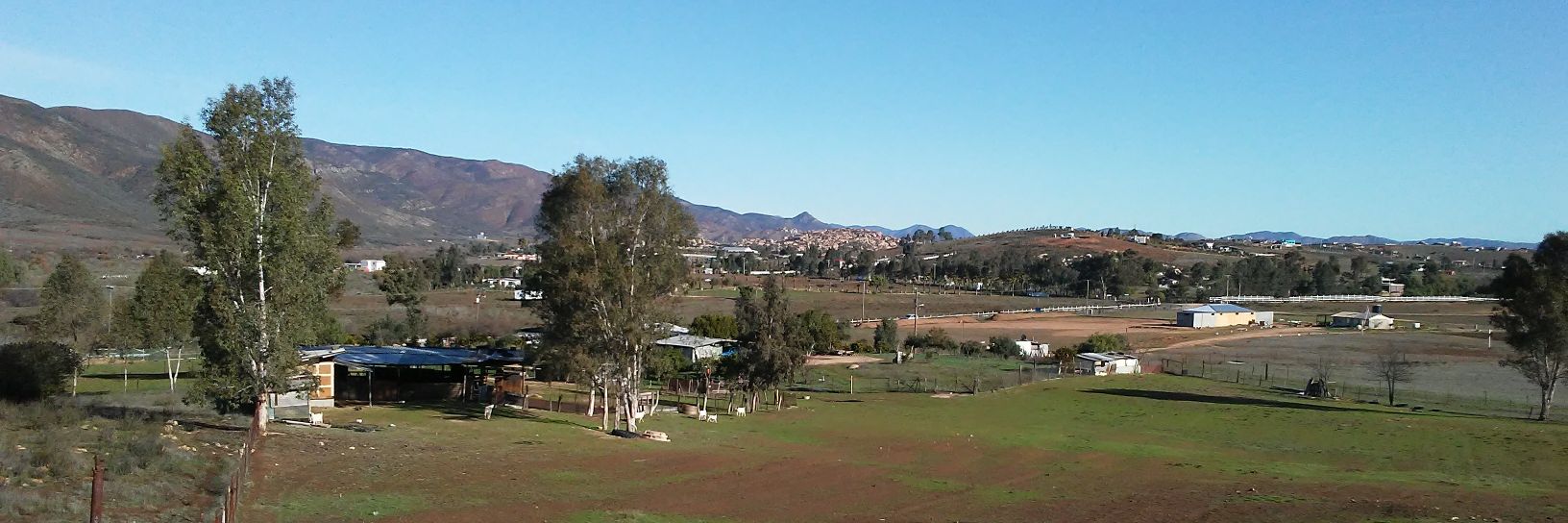 Edith Noriega banner