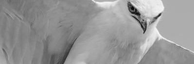 u2i2u's profile banner image