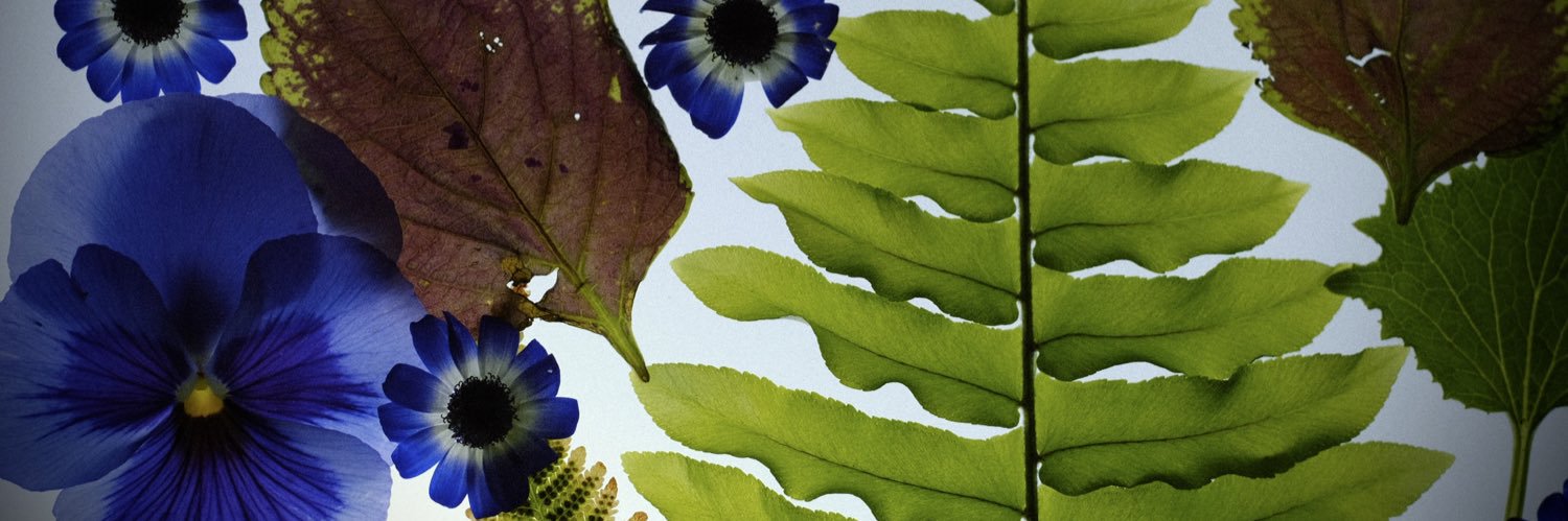 _____________ banner