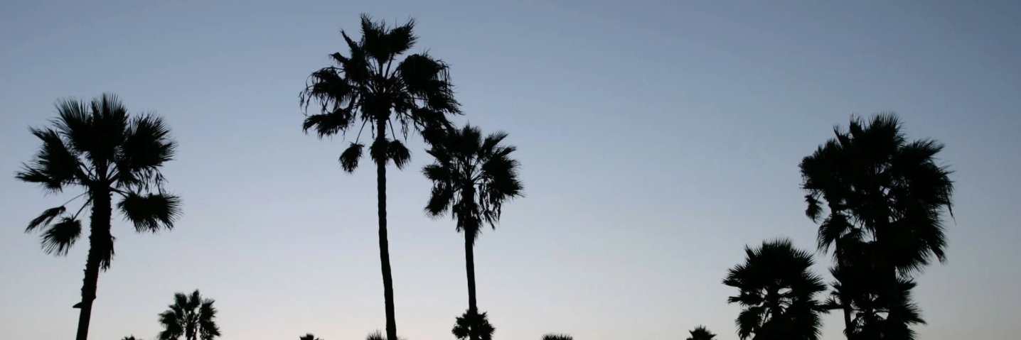 stanilein's profile banner image