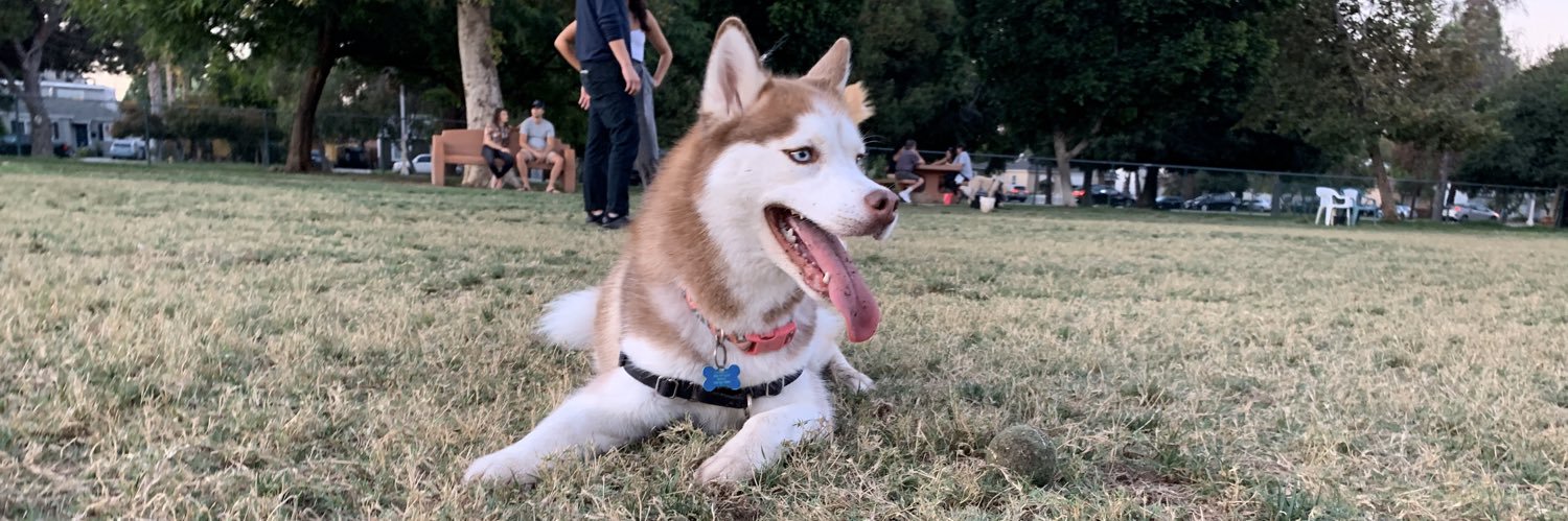 Crystal Ferreiro banner