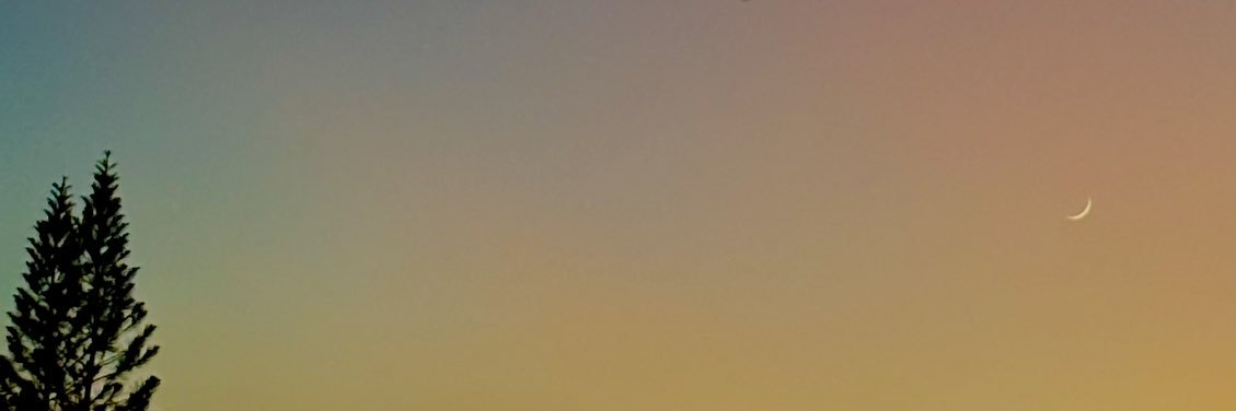 skymoon1998's profile banner image