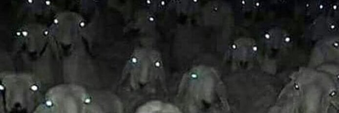 .... banner