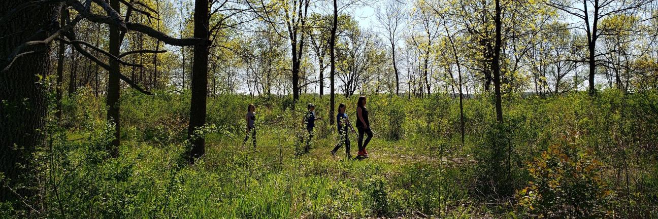 Wingra School banner