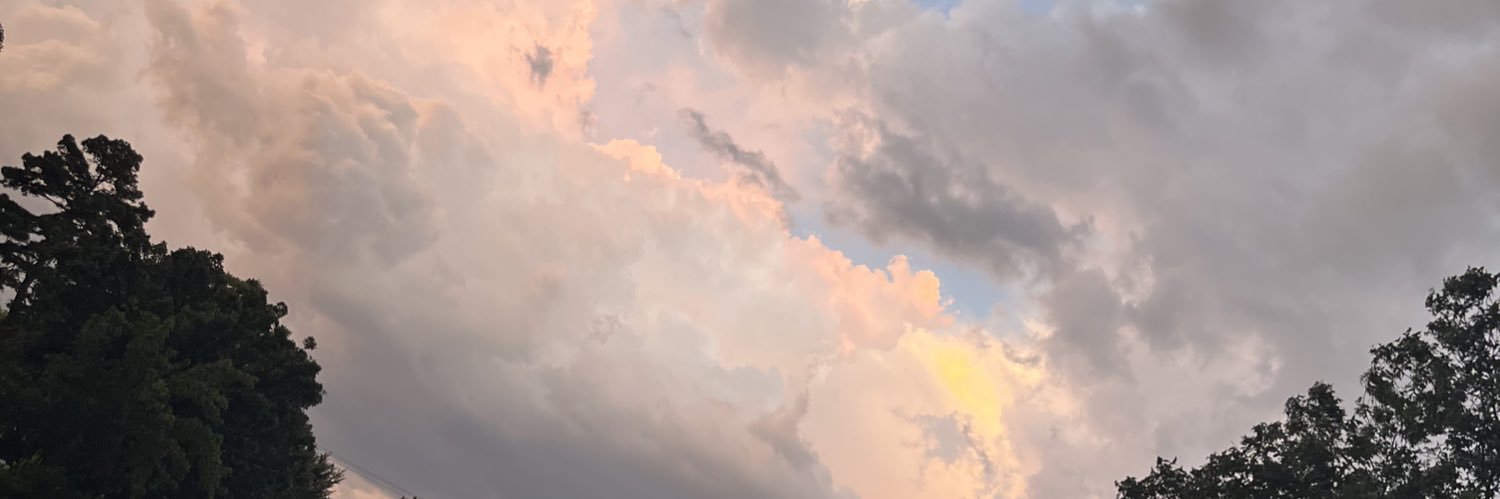nik_mooney's profile banner image