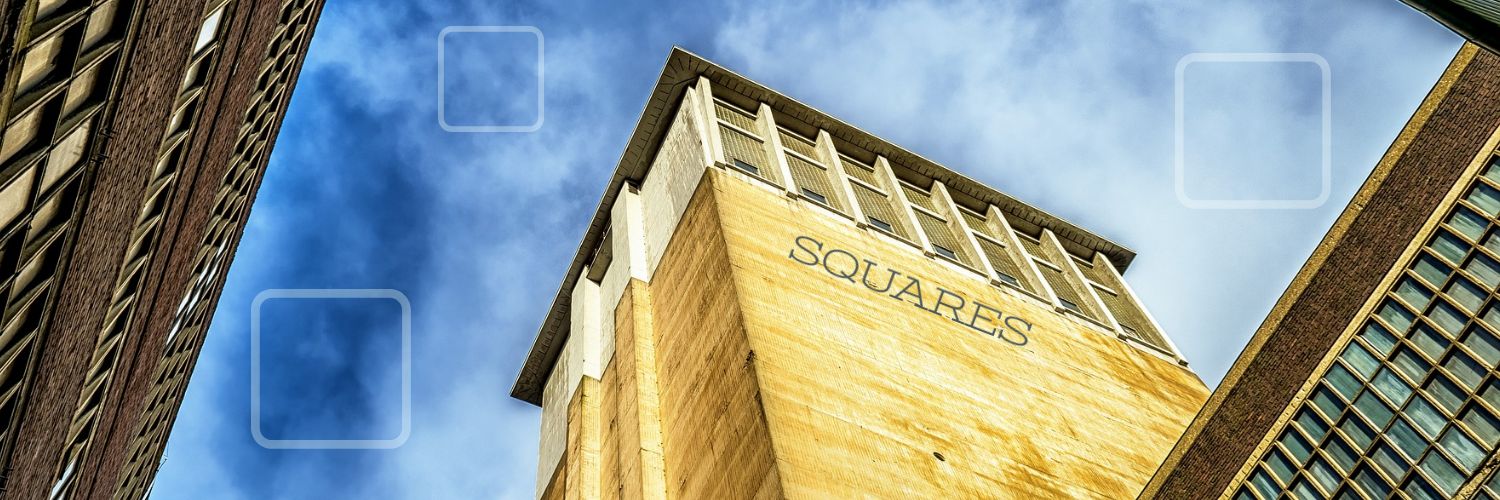 squa1rz's profile banner image