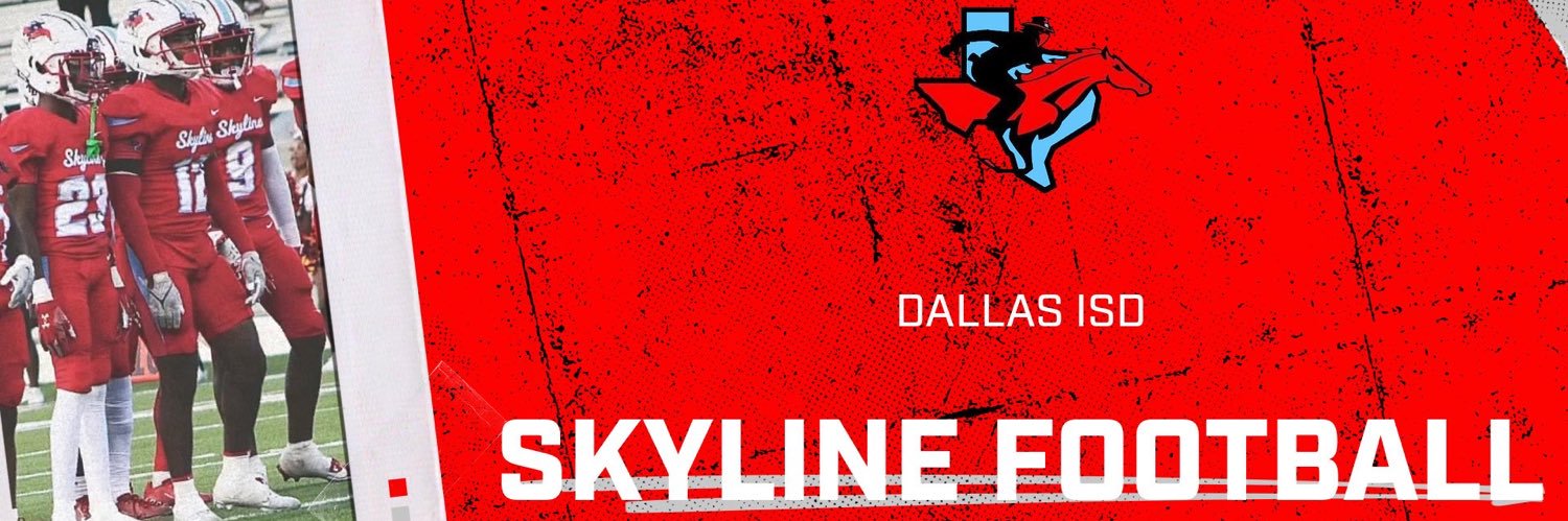 SKYLINEfb's profile banner image