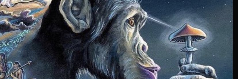 ASAPSodie's profile banner image