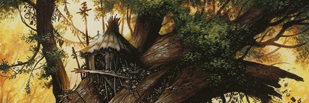 coesus banner