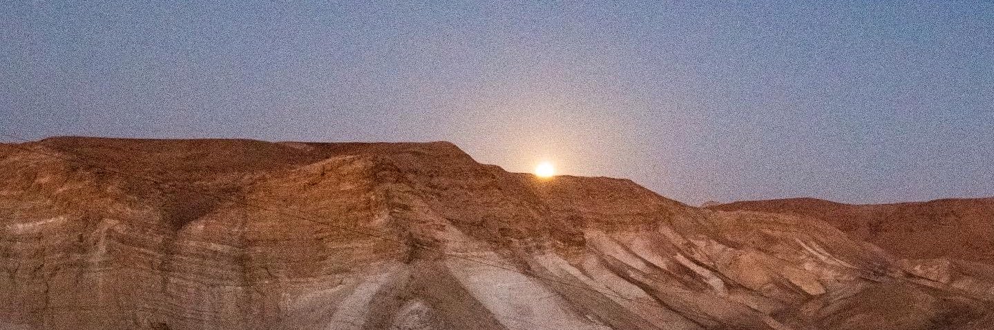 Jesse Fishbaum banner