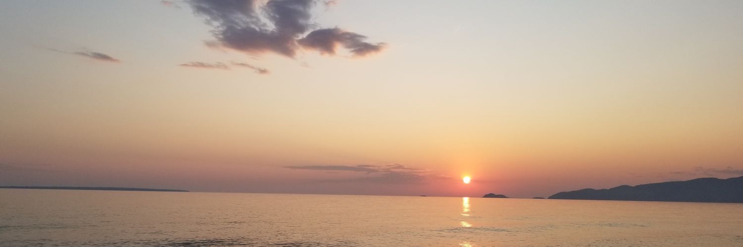 Ed Rubinstein banner