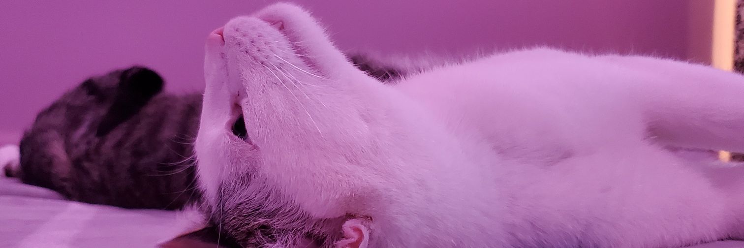 _sixsin's profile banner image