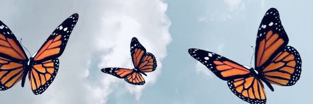 amaginej's profile banner image