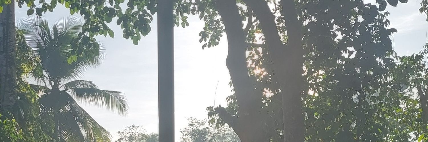 Allen_Palero's profile banner image