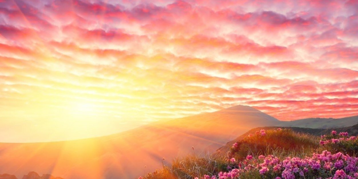 reneriverac's profile banner image