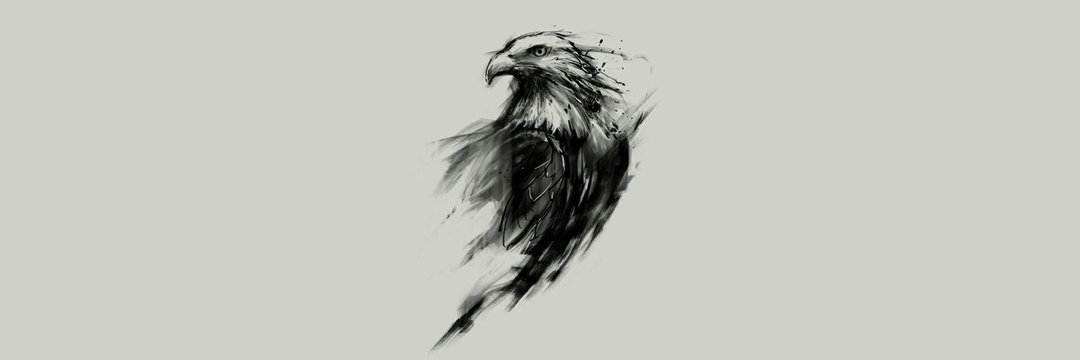 HamayiunN's profile banner image