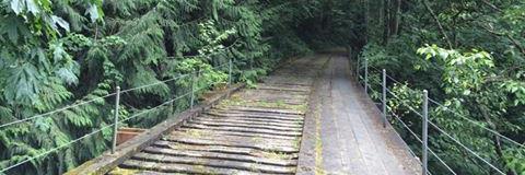 Christina Edmondson banner