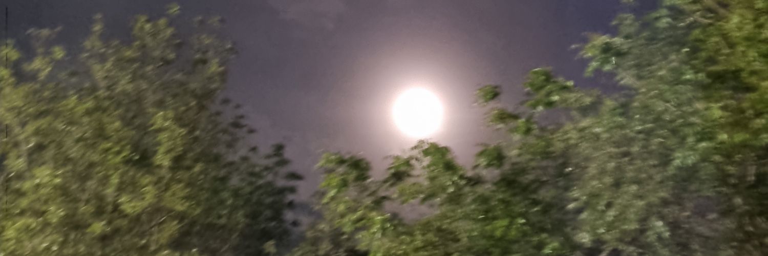 lispineda1's profile banner image