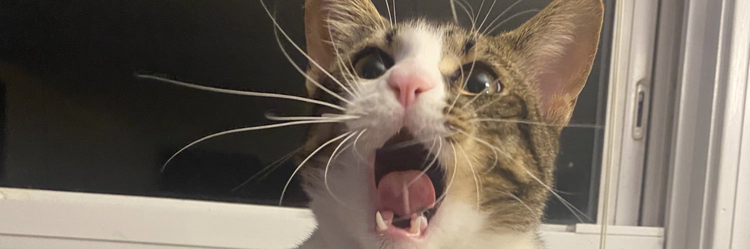 stephcoolins's profile banner image