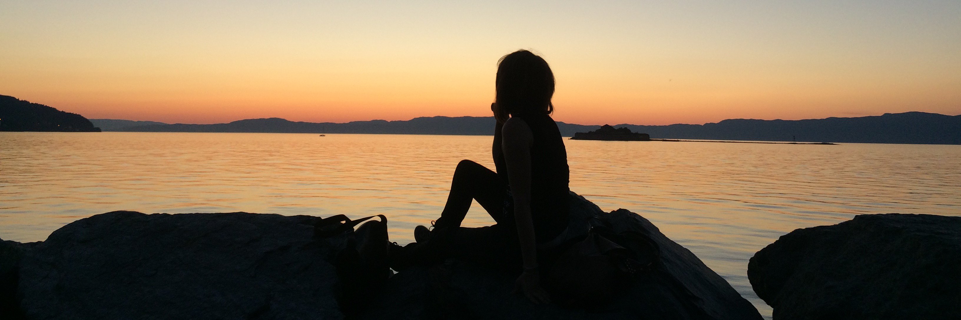 DubinAnna's profile banner image