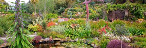 TrescoGarden Profile Banner