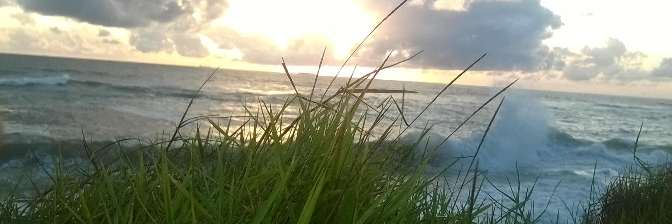 Akramsanoon's profile banner image