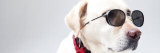 nake0131's profile banner image