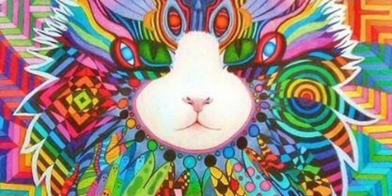 _babifurtado's profile banner image