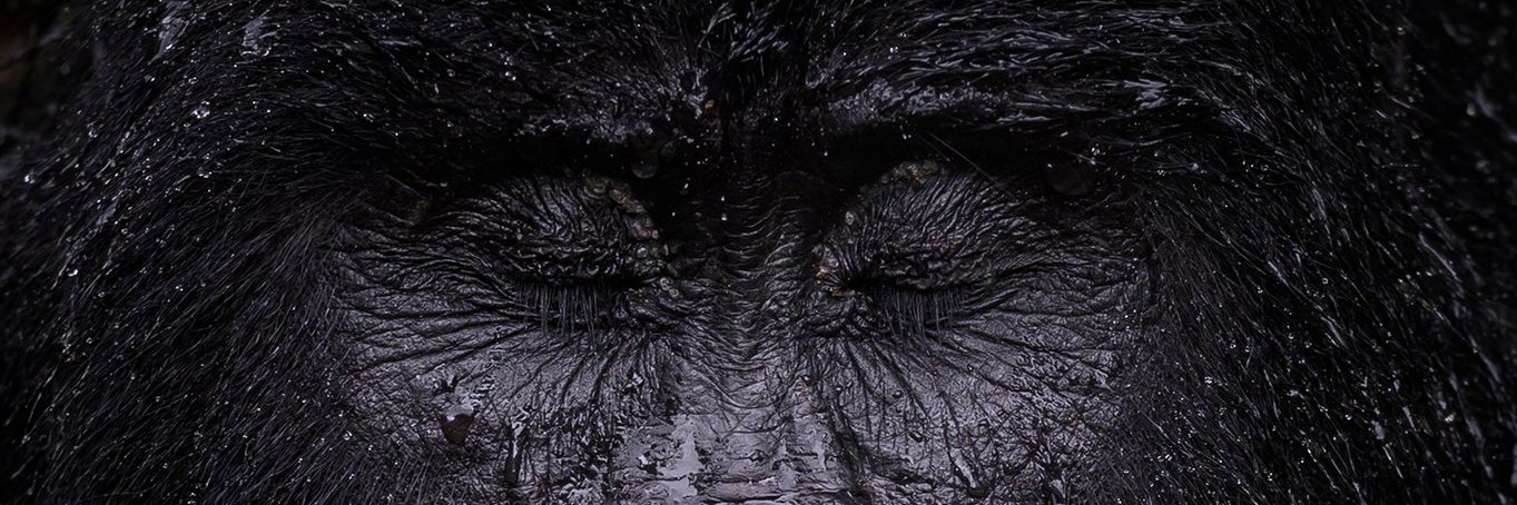 MGDoyle91's profile banner image
