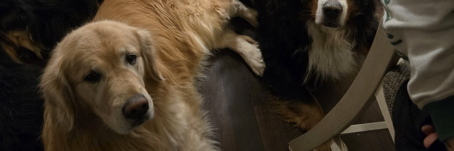 amccalister's profile banner image