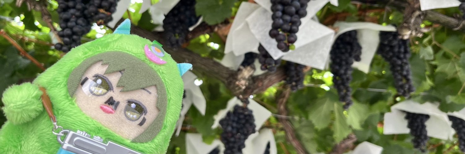 ひーこ😁 banner