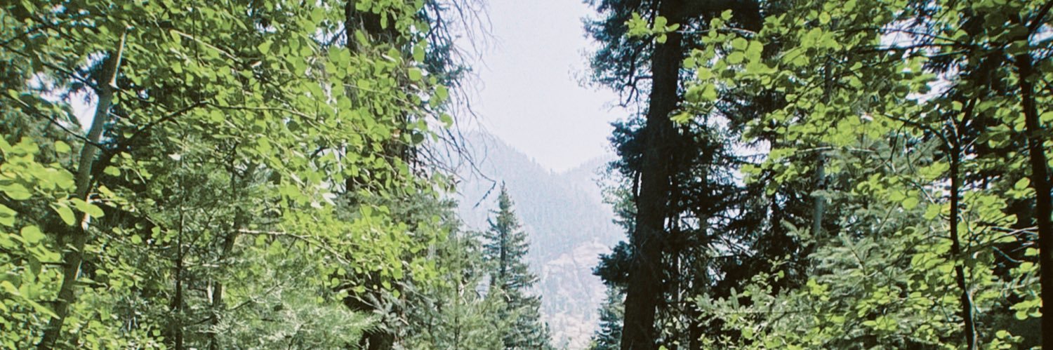 HayleeAlex's profile banner image