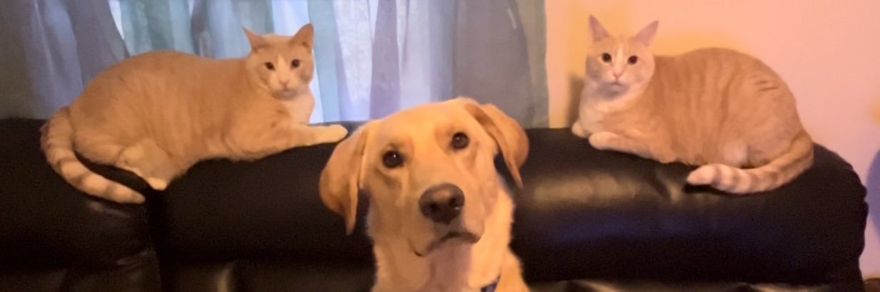 DGPerry3's profile banner image