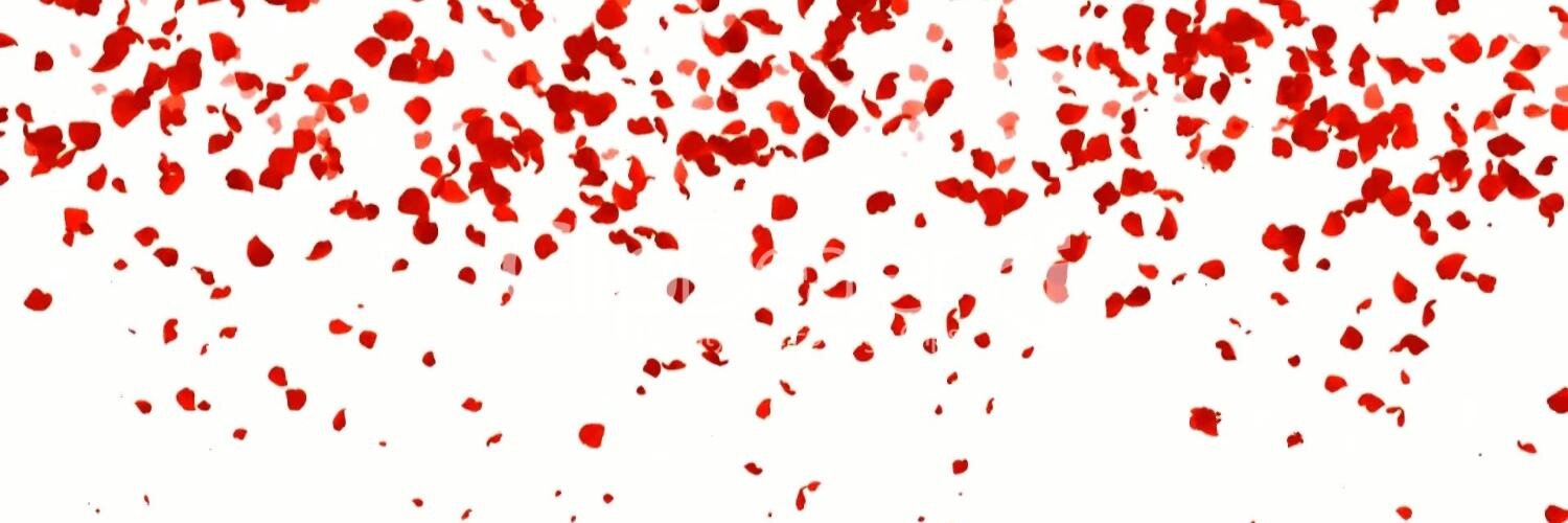 HuWEDUSS's profile banner image