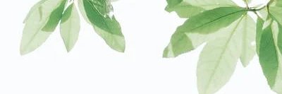 Deborah Morgan banner