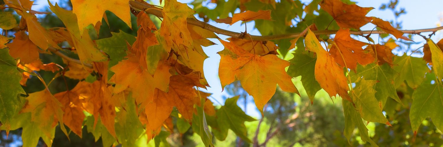 JonathanHphoto's profile banner image