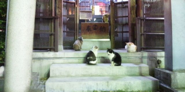 ichigono0706's profile banner image