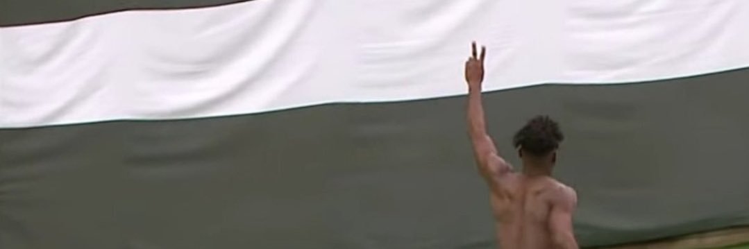 michaela lewis banner