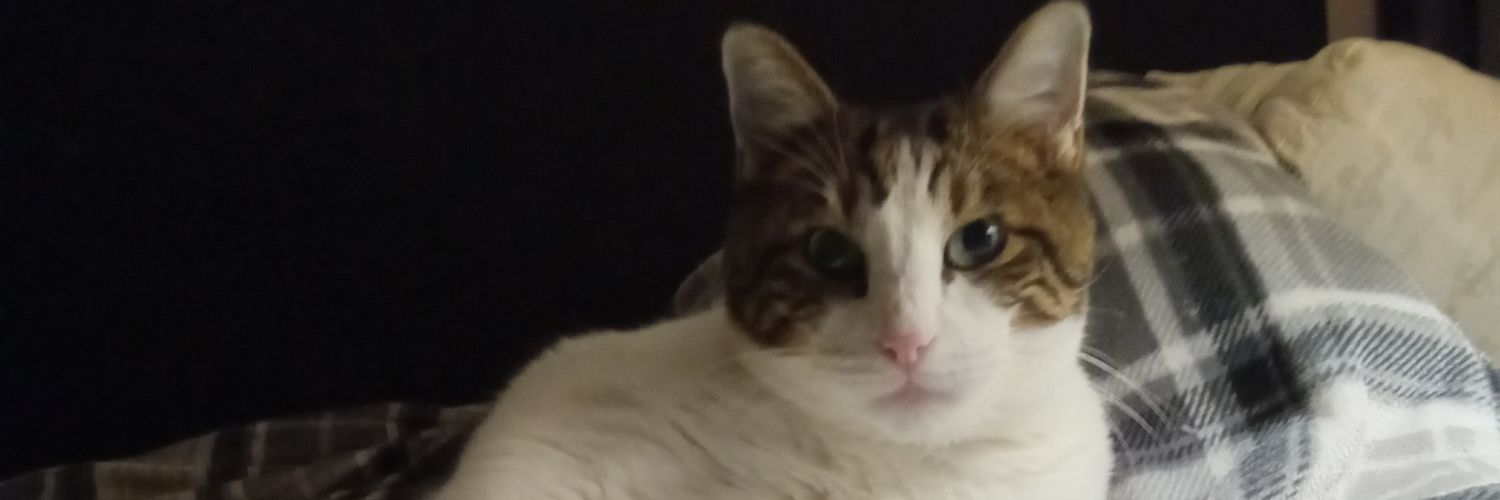 MaryWiley3's profile banner image