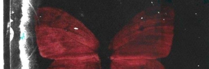 ౨ৎ banner