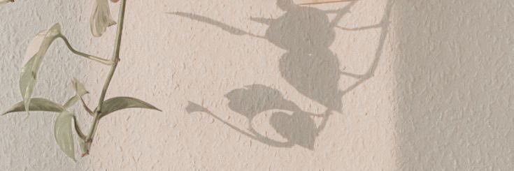 ughitswinzy's profile banner image