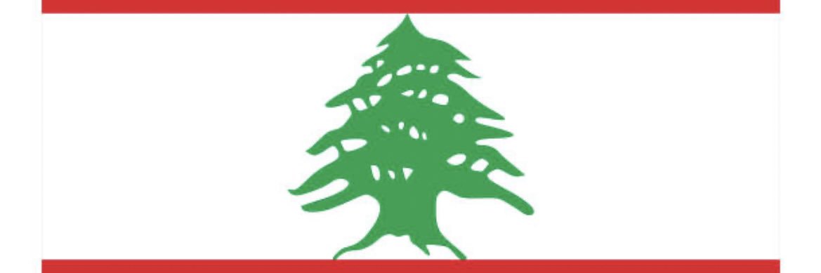 العميد محمود الجمل banner