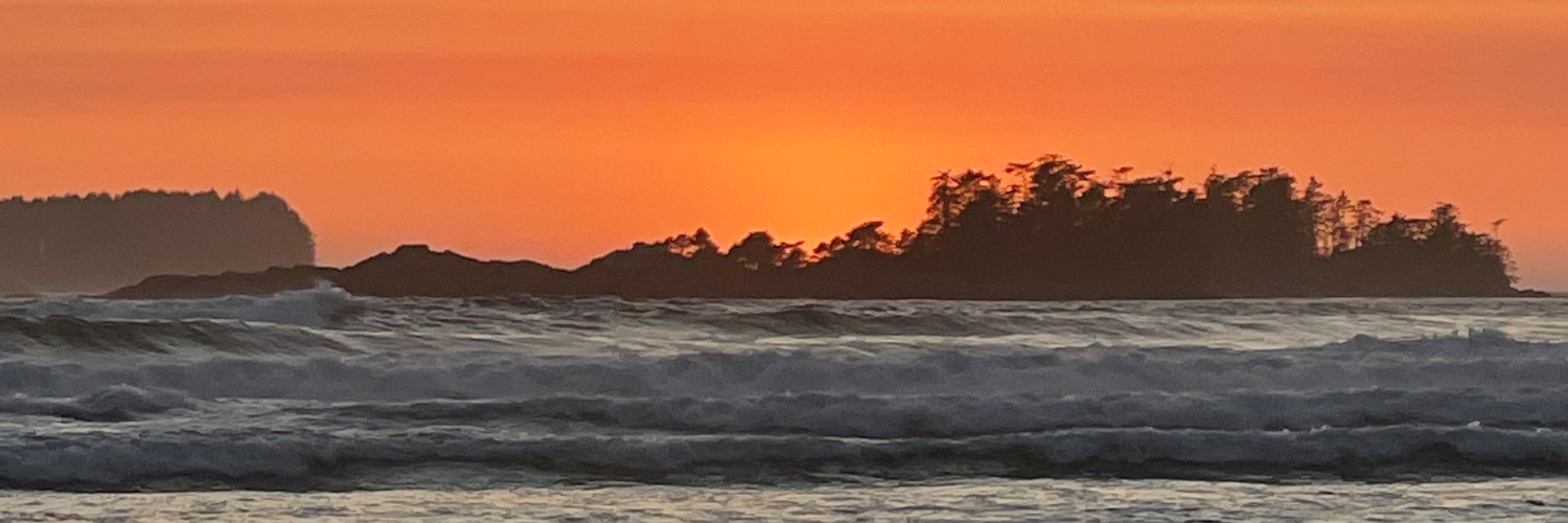 Heidi Young-Thompson banner