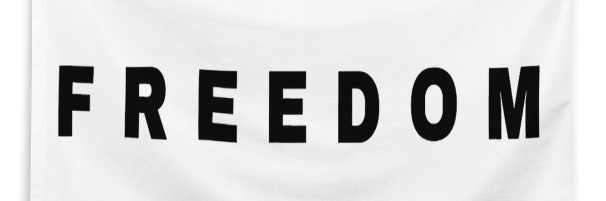 JDD🇺🇸🐘🦅🗽 banner