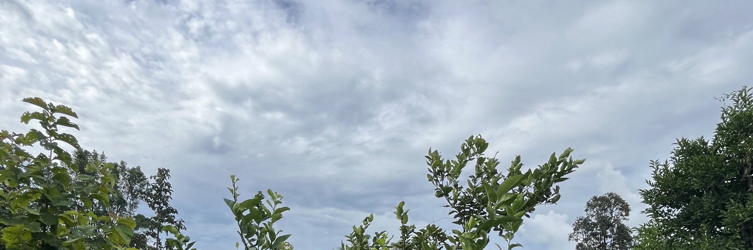 Love XX🖤🖤 banner