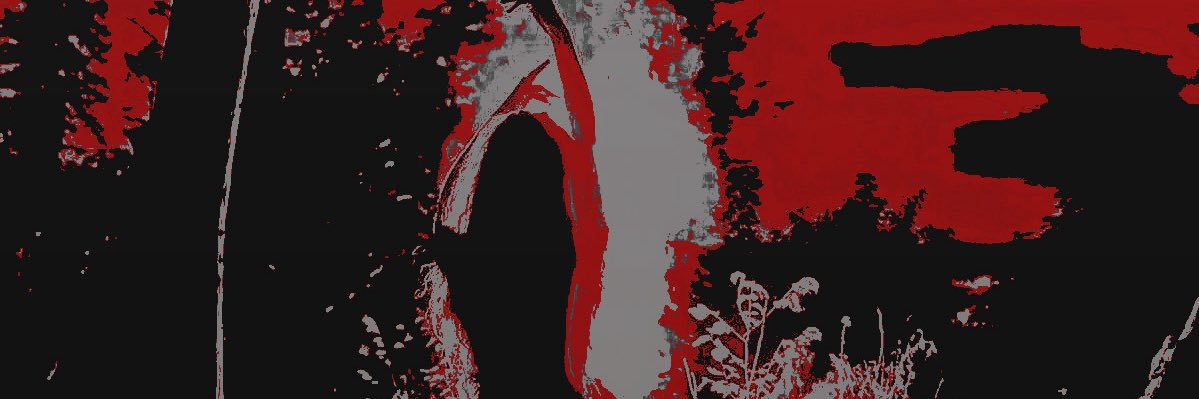 willfulwitch's profile banner image