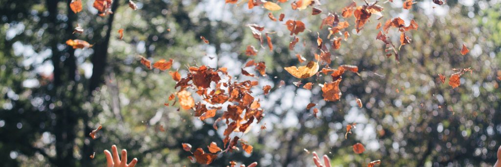 Aizwarya Thanabalan banner