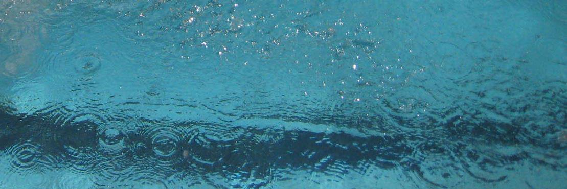 wmswim's profile banner image